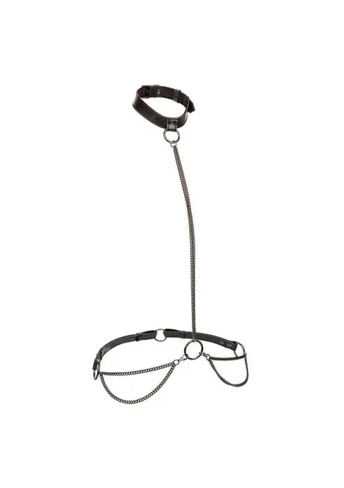 Bestel: Chain Halter & Collar Plus by CalExotics - bij Happytoys.nl, happytoys.be, Happytoys.ae: erotische sex webshop | liever Happy dan Easy βββββ - Default Title - 16772 - BLACK