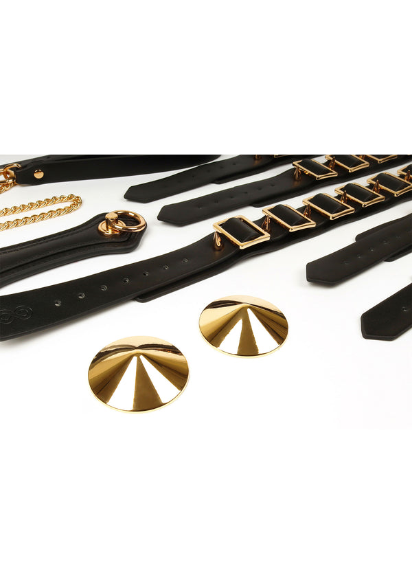 Bestel: Desires Masterpiece Case by Taboom Desires - bij Happytoys.nl, happytoys.be, Happytoys.ae: erotische sex webshop | liever Happy dan Easy βββββ