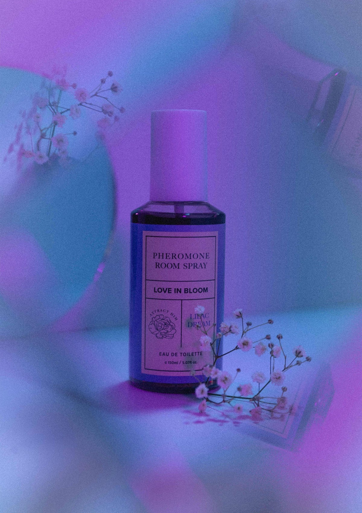 Bestel: Room Phero Attract Him 150 ml - bij Happytoys.nl, happytoys.be, Happytoys.ae: erotische sex webshop | liever Happy dan Easy ⭐⭐⭐⭐⭐