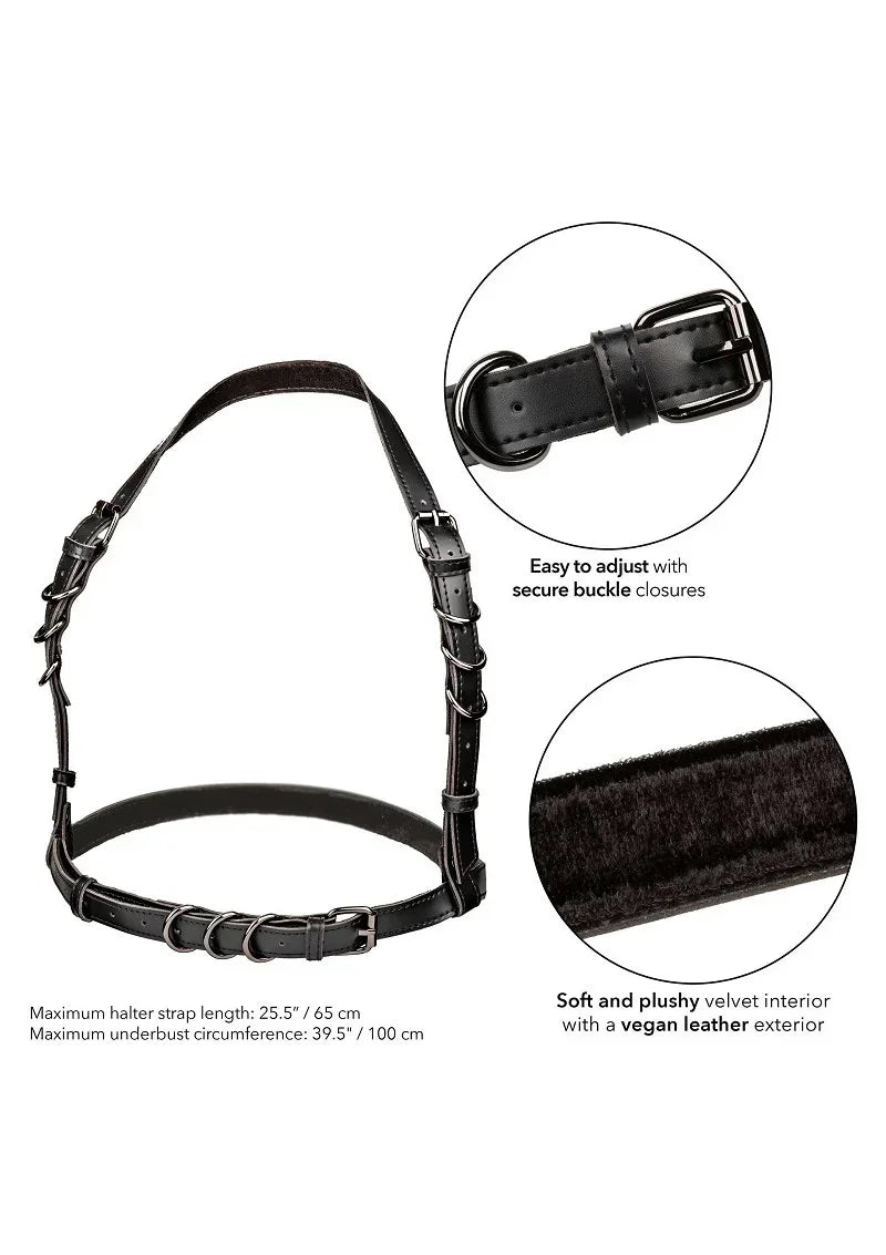 Bestel: Euphoria Collection Halter Buckle Harness by CalExotics - bij Happytoys.nl, happytoys.be, Happytoys.ae: erotische sex webshop | liever Happy dan Easy ⭐⭐⭐⭐⭐