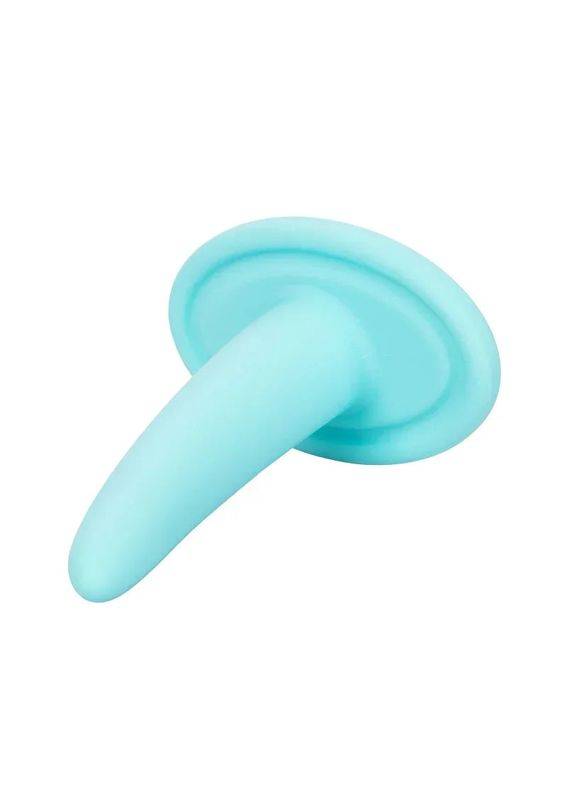 Bestel: She - ology 5 - piece Wearable Vaginal Dilator Set by CalExotics - bij Happytoys.nl, happytoys.be, Happytoys.ae: erotische sex webshop | liever Happy dan Easy βββββ