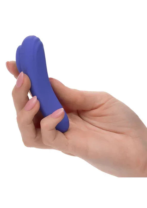 Bestel: Calex Connect Panty Teaser by CalExotics - bij Happytoys.nl, happytoys.be, Happytoys.ae: erotische sex webshop | liever Happy dan Easy ⭐⭐⭐⭐⭐