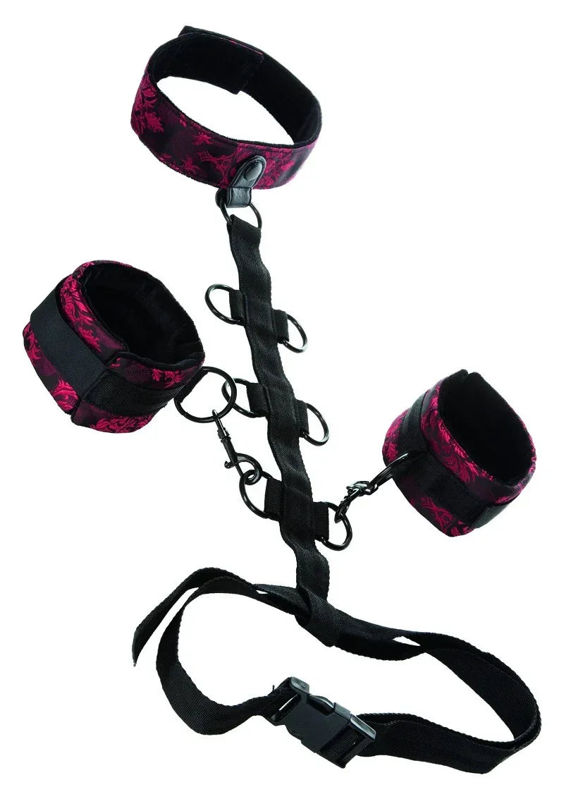 Bestel: Scandal Collar Body Restraint by CalExotics - bij Happytoys.nl, happytoys.be, Happytoys.ae: erotische sex webshop | liever Happy dan Easy ⭐⭐⭐⭐⭐