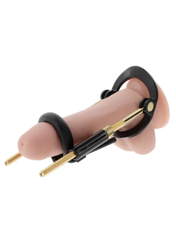 Bestel: Penis Growth Training Basic Set by Hidden Desire - bij Happytoys.nl, happytoys.be, Happytoys.ae: erotische sex webshop | liever Happy dan Easy ⭐⭐⭐⭐⭐
