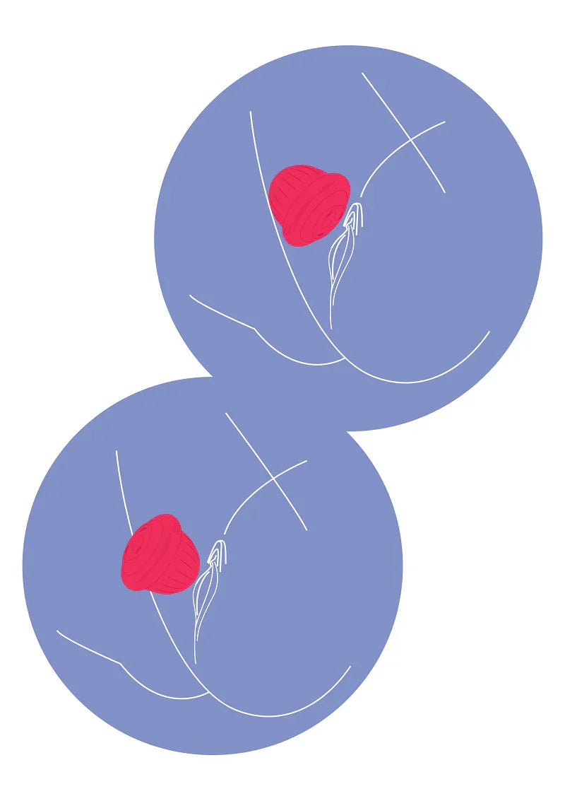 Pearl Pulse Duo Clitoris Stimulator by Xocoon - Happytoys Sexshop: Toys for Feeling Happy & Easy 😊 - Discreet geleverd