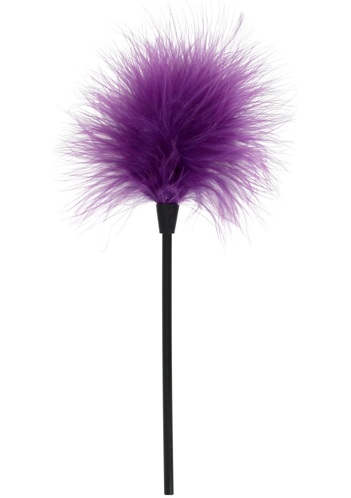 Bestel: Sexy Feather Tickler by ToyJoy - bij Happytoys.nl, happytoys.be, Happytoys.ae: erotische sex webshop | liever Happy dan Easy ⭐⭐⭐⭐⭐ - Paars - 10305 - PURPLE
