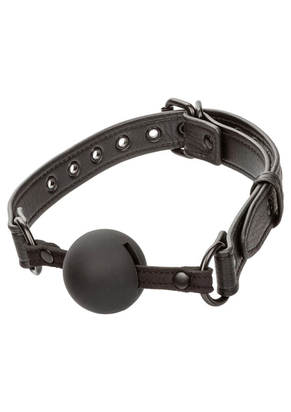 Bestel: Nocturnal Ball Gag by CalExotics - bij Happytoys.nl, happytoys.be, Happytoys.ae: erotische sex webshop | liever Happy dan Easy ⭐⭐⭐⭐⭐ - Default Title - 11931 - BLACK