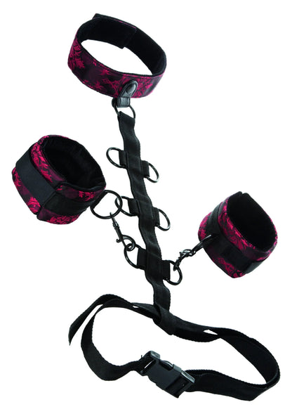 Bestel: Scandal Collar Body Restraint by CalExotics - bij Happytoys.nl, happytoys.be, Happytoys.ae: erotische sex webshop | liever Happy dan Easy ⭐⭐⭐⭐⭐ - Default Title - 13024 - BLACK