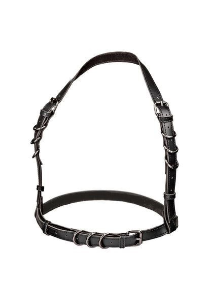 Bestel: Euphoria Collection Halter Buckle Harness by CalExotics - bij Happytoys.nl, happytoys.be, Happytoys.ae: erotische sex webshop | liever Happy dan Easy ⭐⭐⭐⭐⭐ - Default Title - 16702 - BLACK