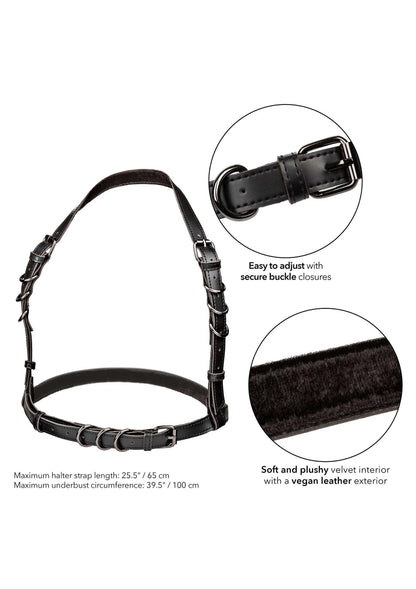 Bestel: Euphoria Collection Halter Buckle Harness by CalExotics - bij Happytoys.nl, happytoys.be, Happytoys.ae: erotische sex webshop | liever Happy dan Easy ⭐⭐⭐⭐⭐