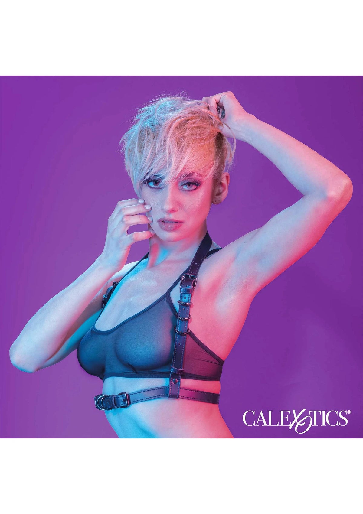 Bestel: Euphoria Collection Halter Buckle Harness by CalExotics - bij Happytoys.nl, happytoys.be, Happytoys.ae: erotische sex webshop | liever Happy dan Easy ⭐⭐⭐⭐⭐