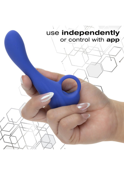 Bestel: App - Controlled Explorer Probe by CalExotics Connect - bij Happytoys: de erotische sex webshop | liever Happy dan Easy ⭐⭐⭐⭐⭐