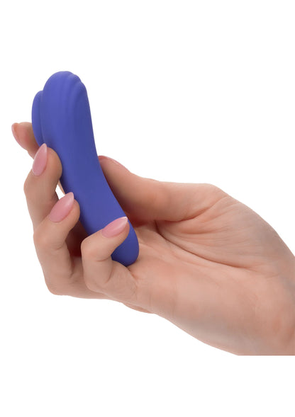 Bestel: Calex Connect Panty Teaser by CalExotics - bij Happytoys.nl, happytoys.be, Happytoys.ae: erotische sex webshop | liever Happy dan Easy ⭐⭐⭐⭐⭐