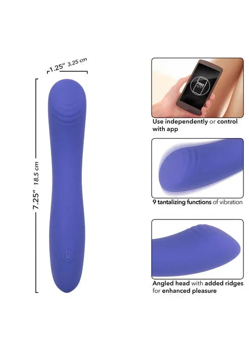 16734_PURPLE_06_71f656b9-c10f-49e4-a906-349812ba59db @ Happytoys Sexshop: online sex shop for Feeling Happy & Easy 😊 the erotic store owned by a woman