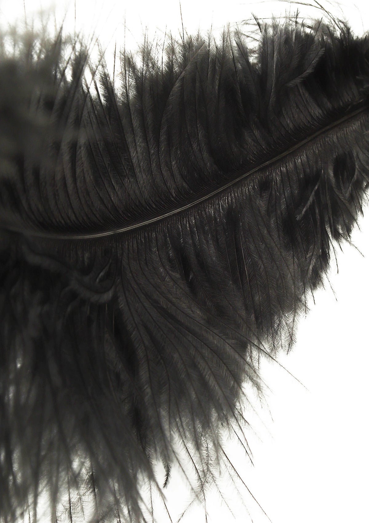 Bestel: Double Feather Tickler by Hidden Desire Extreme - bij Happytoys: de erotische sex webshop | liever Happy dan Easy ⭐⭐⭐⭐⭐