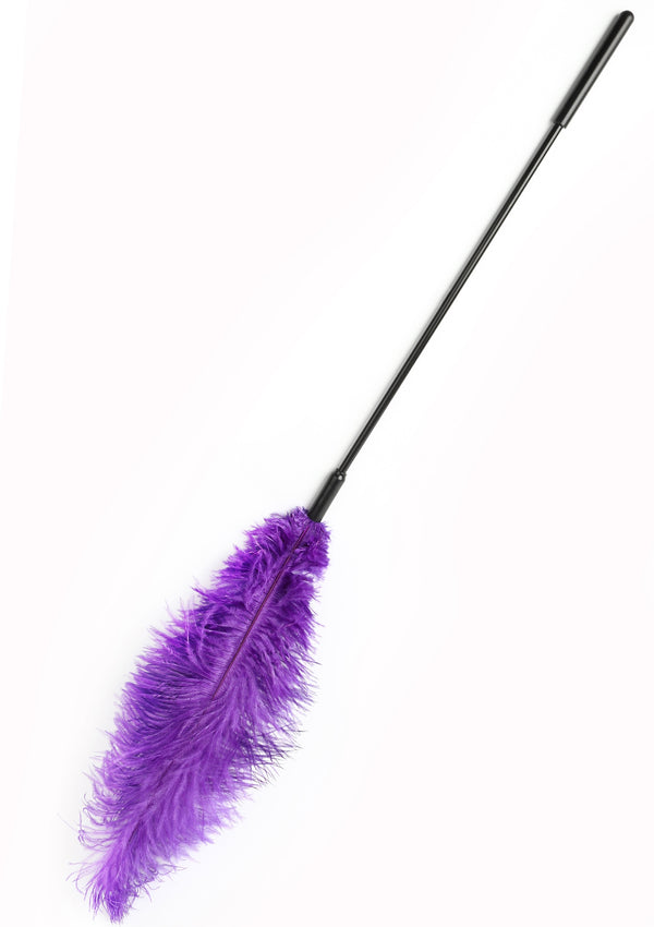 Bestel: Double Feather Tickler by Hidden Desire Extreme - bij Happytoys: de erotische sex webshop | liever Happy dan Easy ⭐⭐⭐⭐⭐ - Paars - 16899 - PURPLE