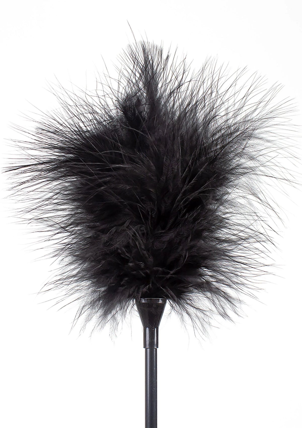 Bestel: Feather Tickler & Whip - bij Happytoys.nl, happytoys.be, Happytoys.ae: erotische sex webshop | liever Happy dan Easy ⭐⭐⭐⭐⭐