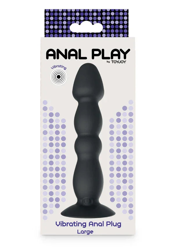 Anal Play Vibrating Anal Plug Large by ToyJoy - Happytoys Sexshop: Toys for Feeling Happy & Easy 😊 - Discreet geleverd