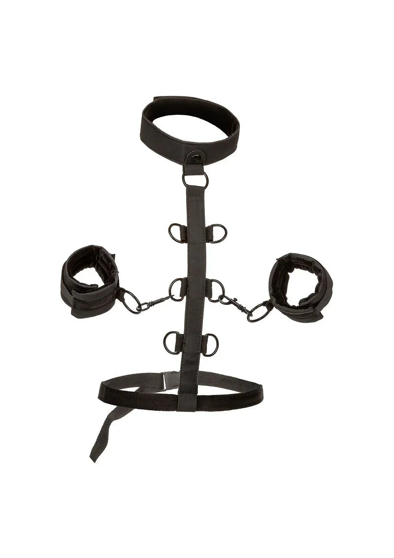 ♂ ♀ CalExotics Boundless Collar Body Restraint - Happytoys Sexshop: Toys for Feeling Happy & Easy 😊 - Discreet geleverd