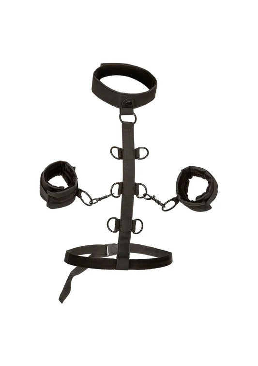 ♂ ♀ CalExotics Boundless Collar Body Restraint - Happytoys Sexshop: Toys for Feeling Happy & Easy 😊 - Discreet geleverd