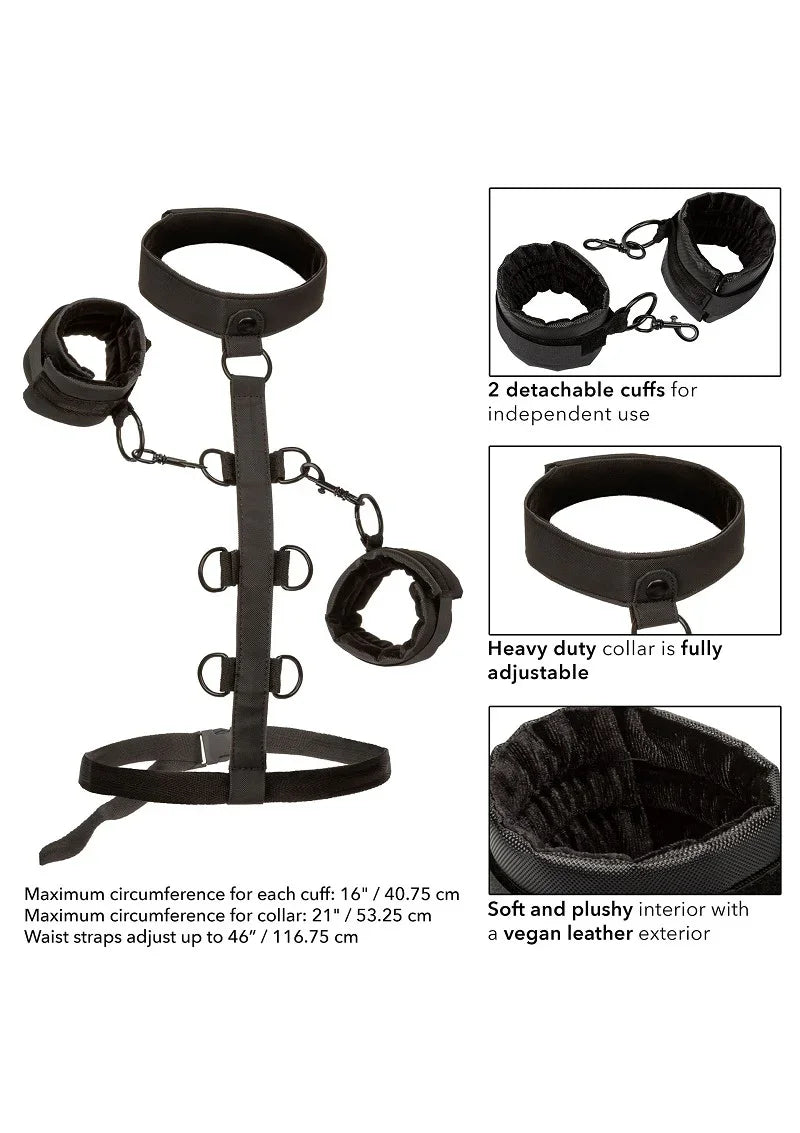 ♂ ♀ CalExotics Boundless Collar Body Restraint - Happytoys Sexshop: Toys for Feeling Happy & Easy 😊 - Discreet geleverd