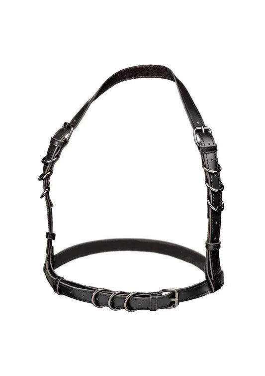 Euphoria Collection Plus Size Halter Buckle Harness by CalExotics - Happytoys Sexshop: online sex shop for Feeling Happy & Easy 😊 - Discreet geleverd