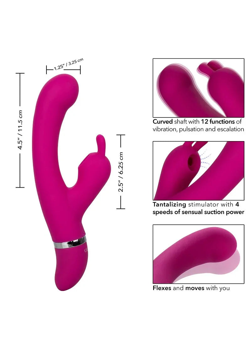 ♀ CalExotics Foreplay Frenzy Bunny Kisser double action suction - Happytoys Sexshop: Toys for Feeling Happy & Easy 😊 - Discreet geleverd