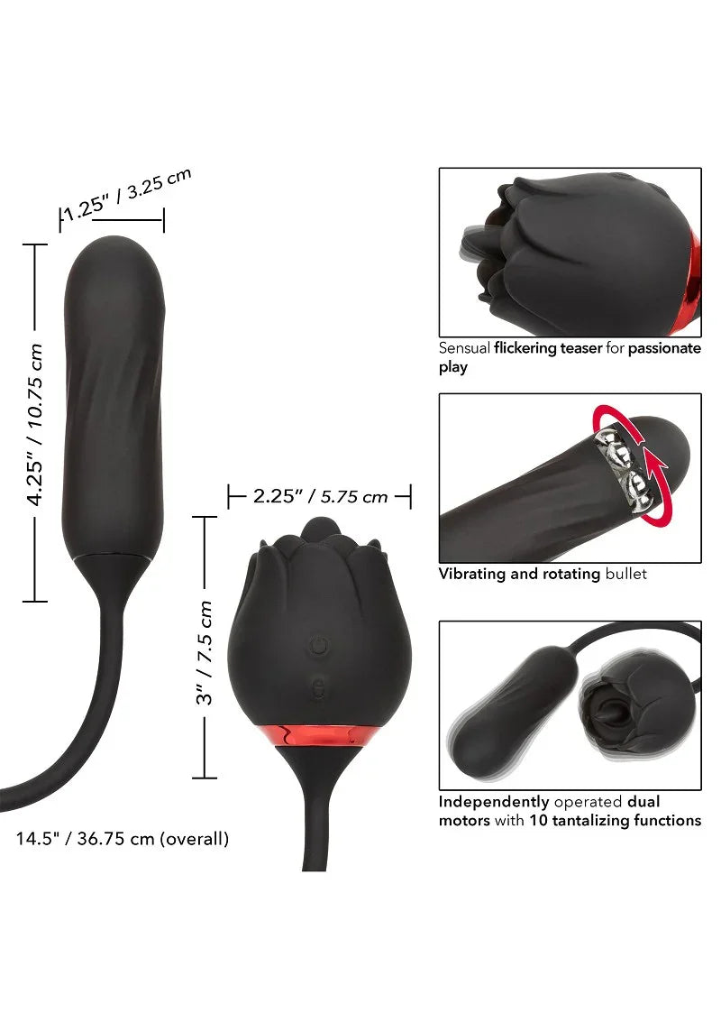 ♀ CalExotics French Kiss Elite Lover teaser - Happytoys Sexshop: Toys for Feeling Happy & Easy 😊 - Discreet geleverd