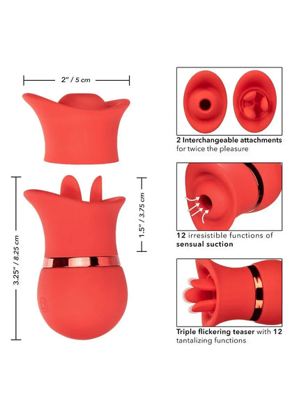 Bestel: French Kiss Suck & Play Interchangeable Set by CalExotics - bij Happytoys.nl, happytoys.be, Happytoys.ae: erotische sex webshop | liever Happy dan Easy ⭐⭐⭐⭐⭐
