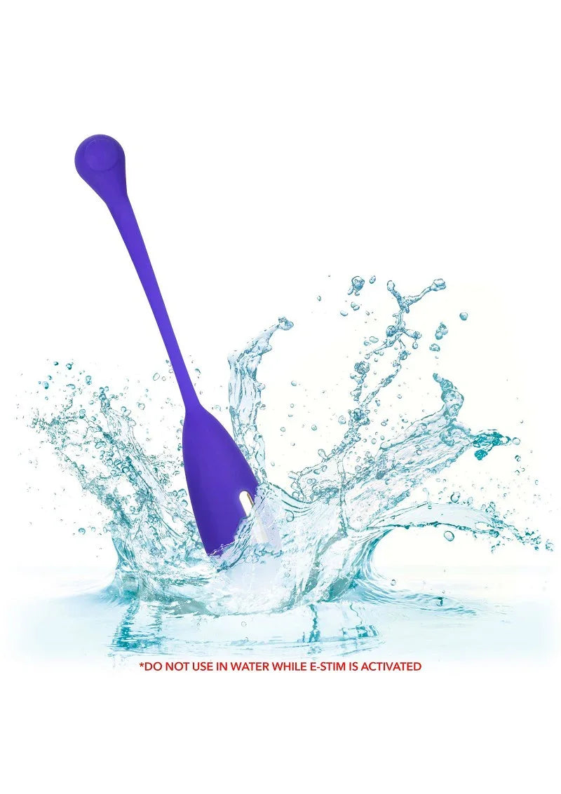 Impulse Intimate E-Stimulator Remote Kegel Exerciser by CalExotics - Happytoys Sexshop: Toys for Feeling Happy & Easy 😊 - Discreet geleverd