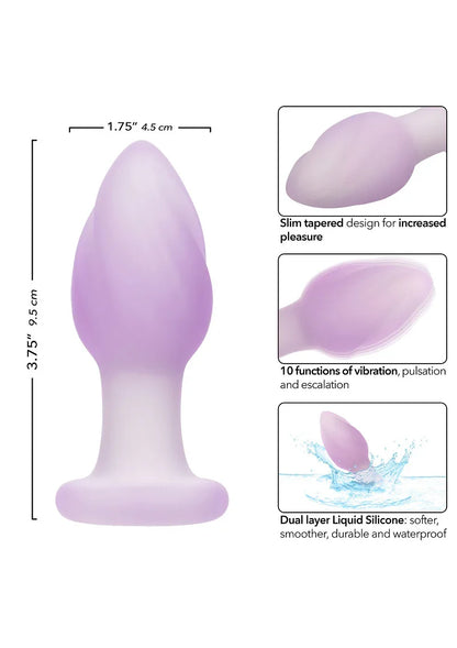 Lavender Haze Ridge Probe by CalExotics - Happytoys Sexshop: Toys for Feeling Happy & Easy 😊 - Discreet geleverd