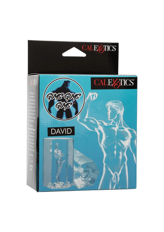 Guys Guys Guys David by CalExotics - Happytoys Sexshop: online sex shop for Feeling Happy & Easy 😊 - Discreet geleverd