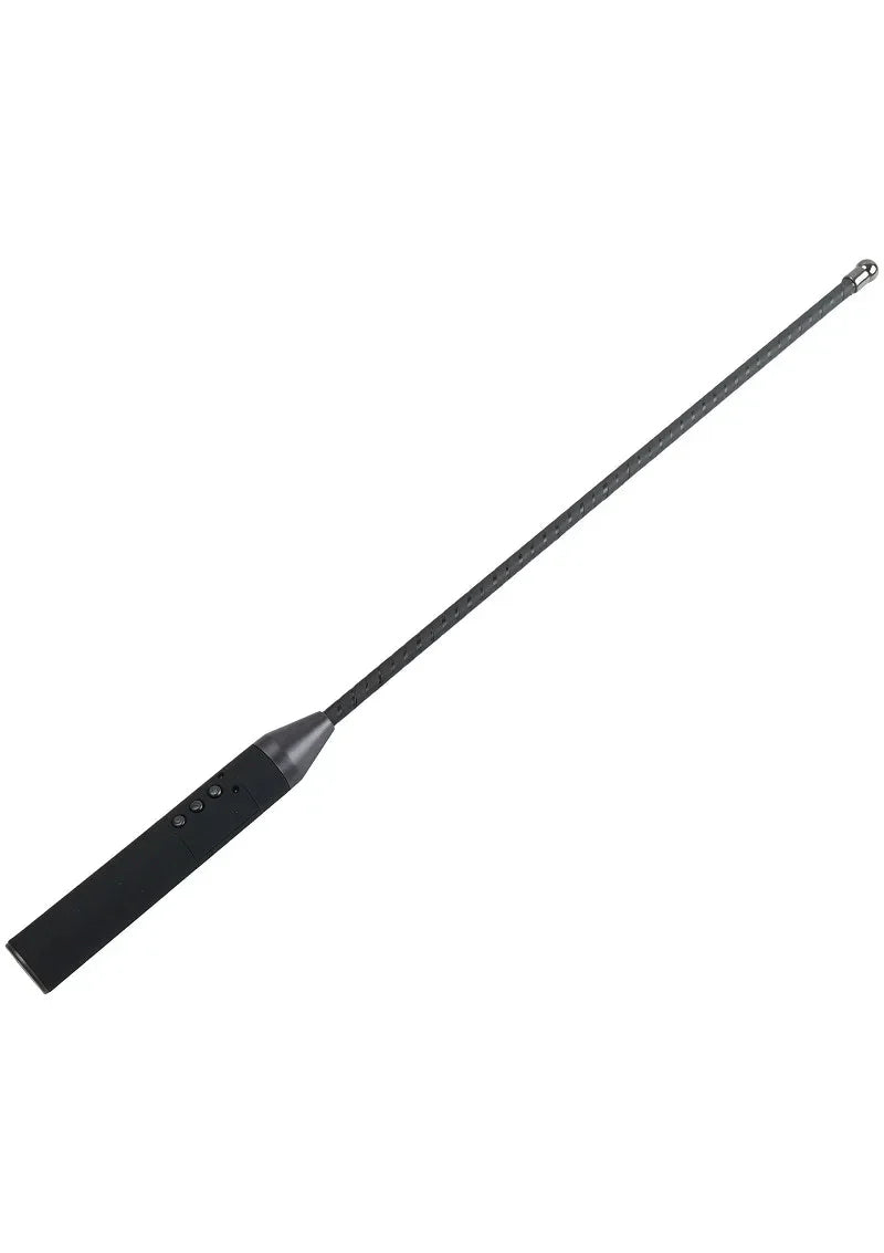 HiddenDesireExtremeElectroCane5 @ Happytoys Sexshop: online sex shop for Feeling Happy & Easy 😊 the erotic store owned by a woman