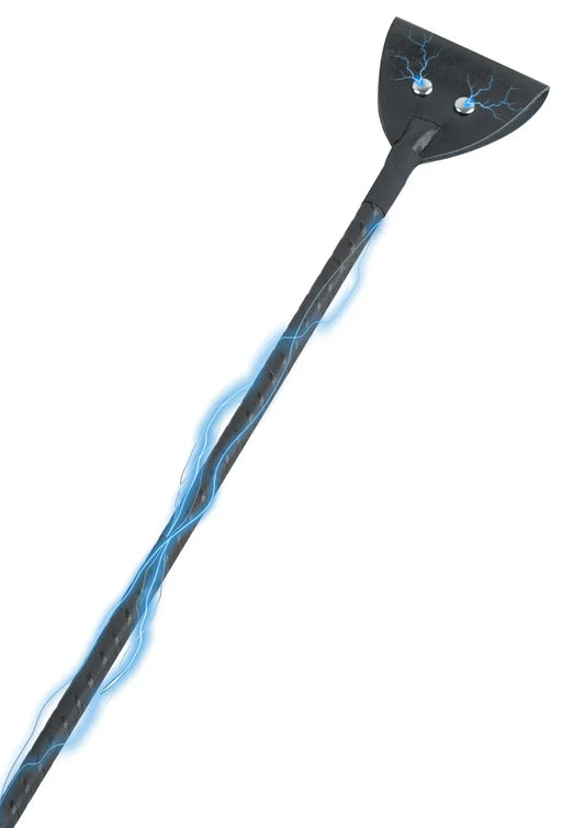 Extreme Electro Riding Crop Hidden Desire - Happytoys Sexshop: online sex shop for Feeling Happy & Easy 😊 - Discreet geleverd