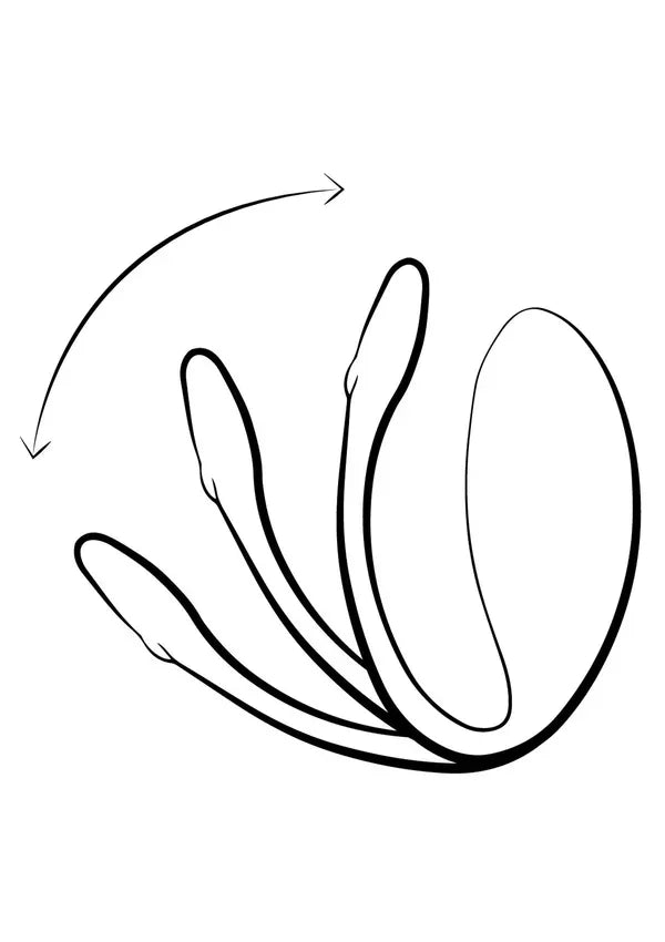 Jive Lite by We-Vibe - Happytoys Sexshop: online sex shop for Feeling Happy & Easy 😊 - Discreet geleverd