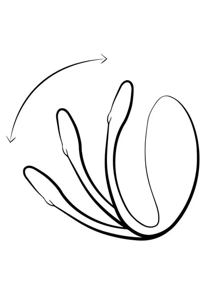 Jive Lite by We-Vibe - Happytoys Sexshop: online sex shop for Feeling Happy & Easy 😊 - Discreet geleverd