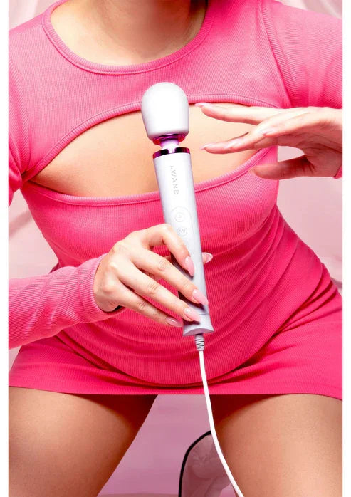 Le Wand Petit Plugin Massager by LeWand