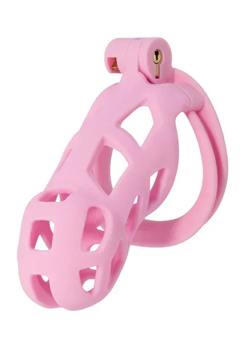 PenisPrisonCockCageLong1 @ Happytoys Sexshop: online sex shop for Feeling Happy & Easy 😊 the erotic store owned by a woman