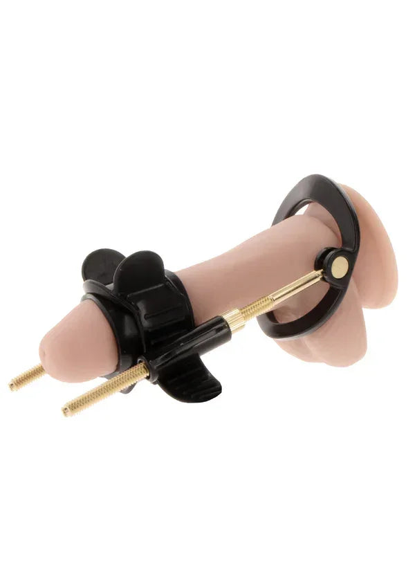 Bestel: Penis Growth Training Comfort Set by Hidden Desire Fusion - X - bij Happytoys.nl, happytoys.be, Happytoys.ae: erotische sex webshop | liever Happy dan Easy ⭐⭐⭐⭐⭐