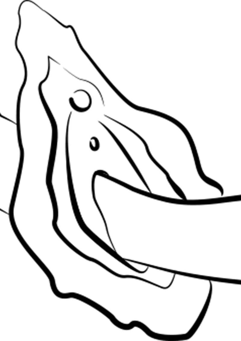 Hype Vibrator by Romp - Happytoys Sexshop: Toys for Feeling Happy & Easy 😊 - Discreet geleverd