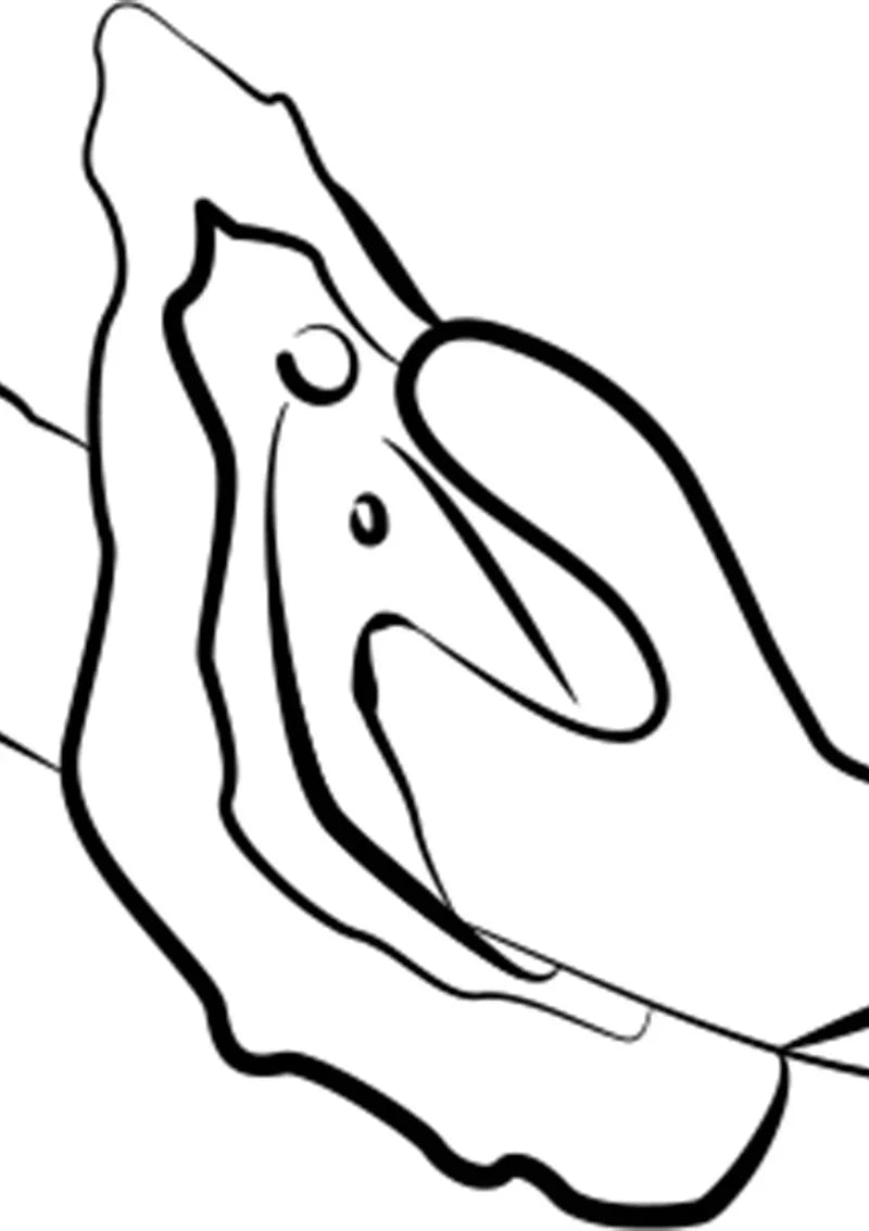 Jazz Vibrator by Romp - Happytoys Sexshop: Toys for Feeling Happy & Easy 😊 - Discreet geleverd