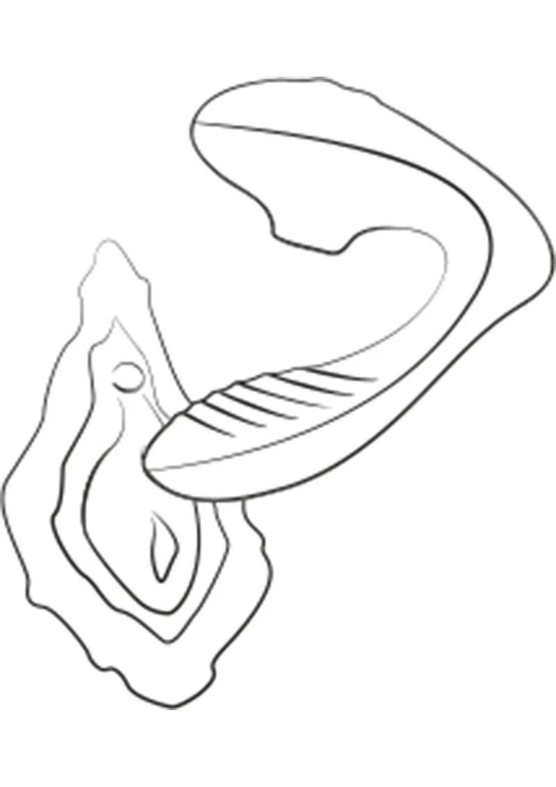 Reverb G-spot Air pressure Vibrator by Romp - Happytoys Sexshop: Toys for Feeling Happy & Easy 😊 - Discreet geleverd