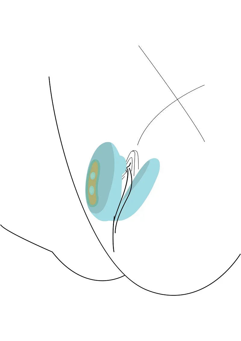 Couples Foreplay Enhancer by Xocoon - Happytoys Sexshop: Toys for Feeling Happy & Easy 😊 - Discreet geleverd